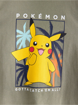 Bolur, Pokémon