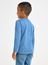 LangermaBolur, Hvolpasveit